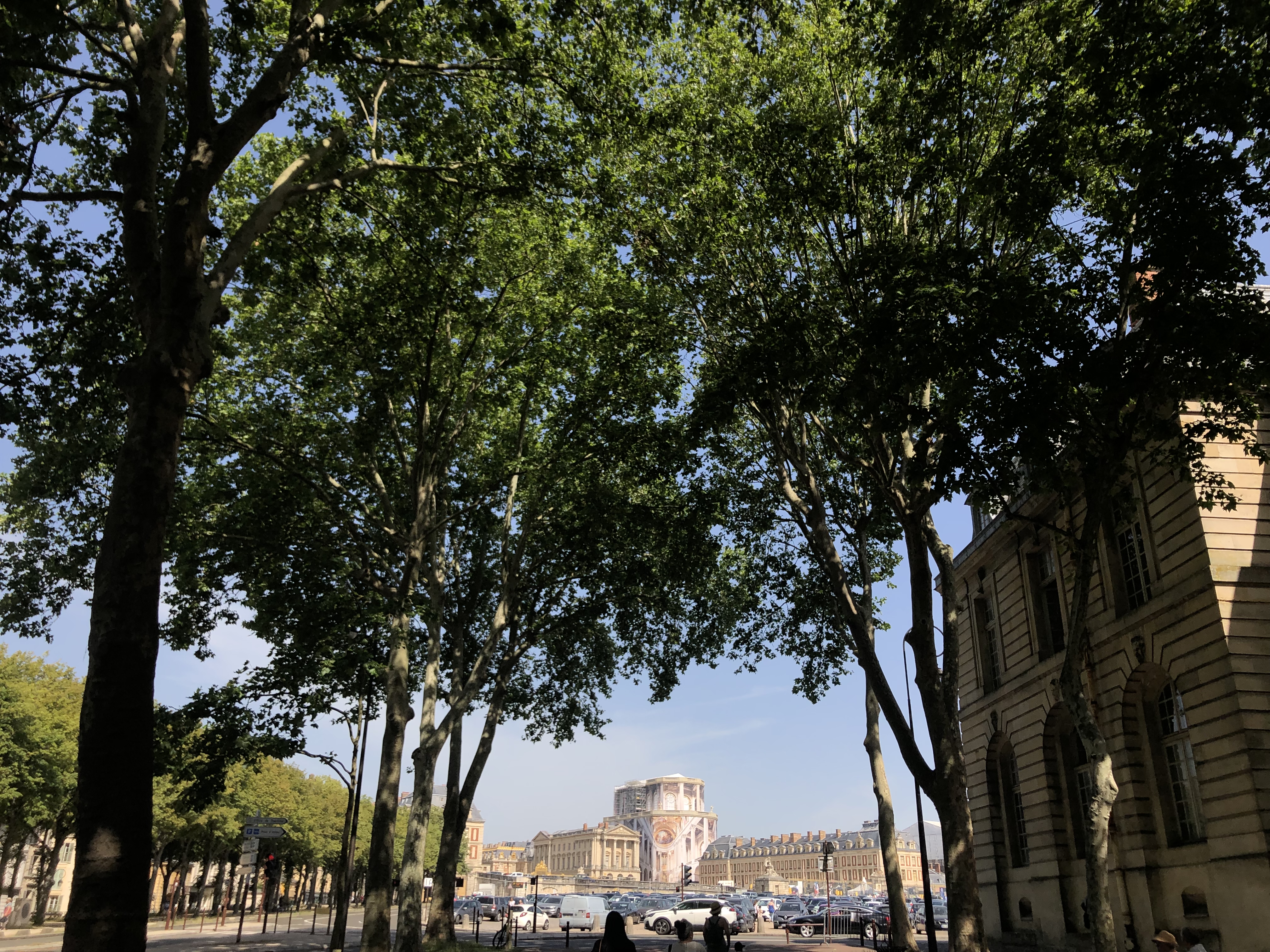 Trees and streets leading up the the palace of versailles