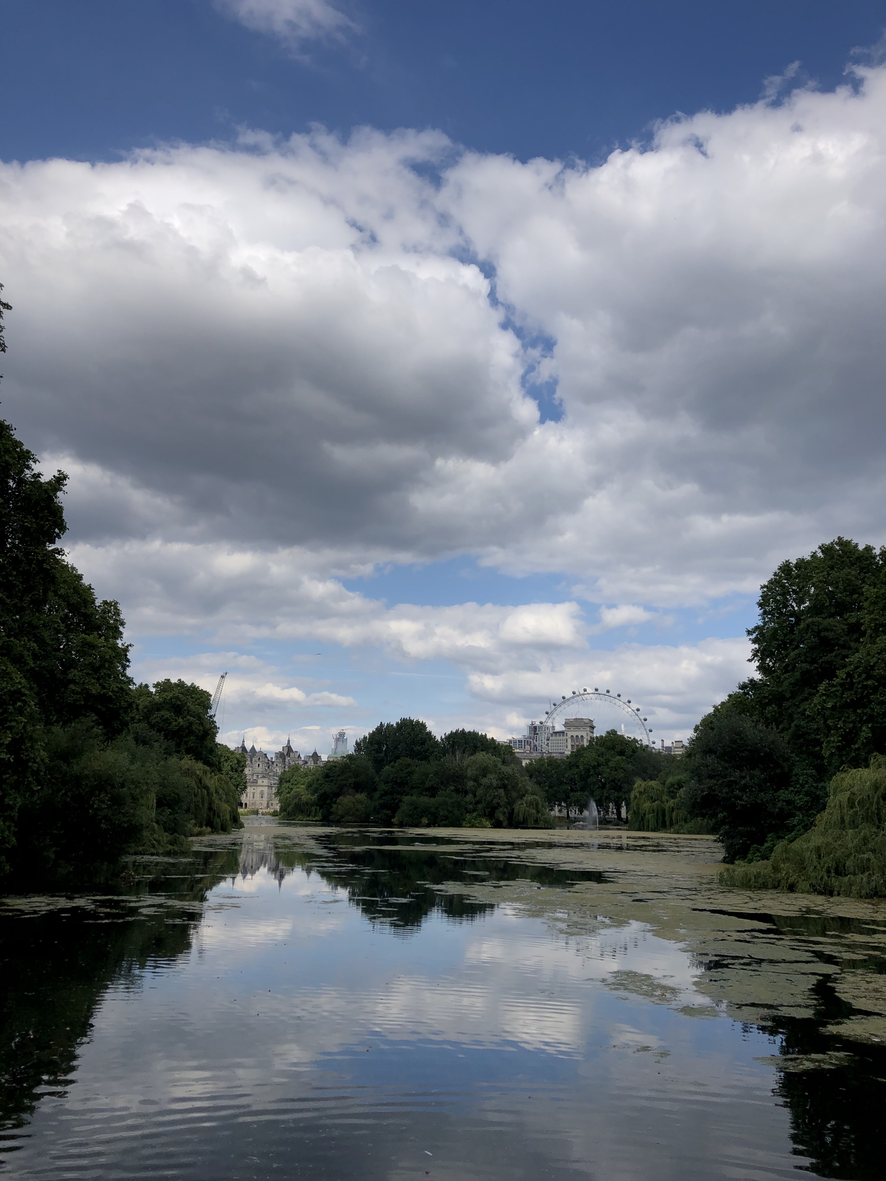 Pretty park in London with water and trees and the london eye