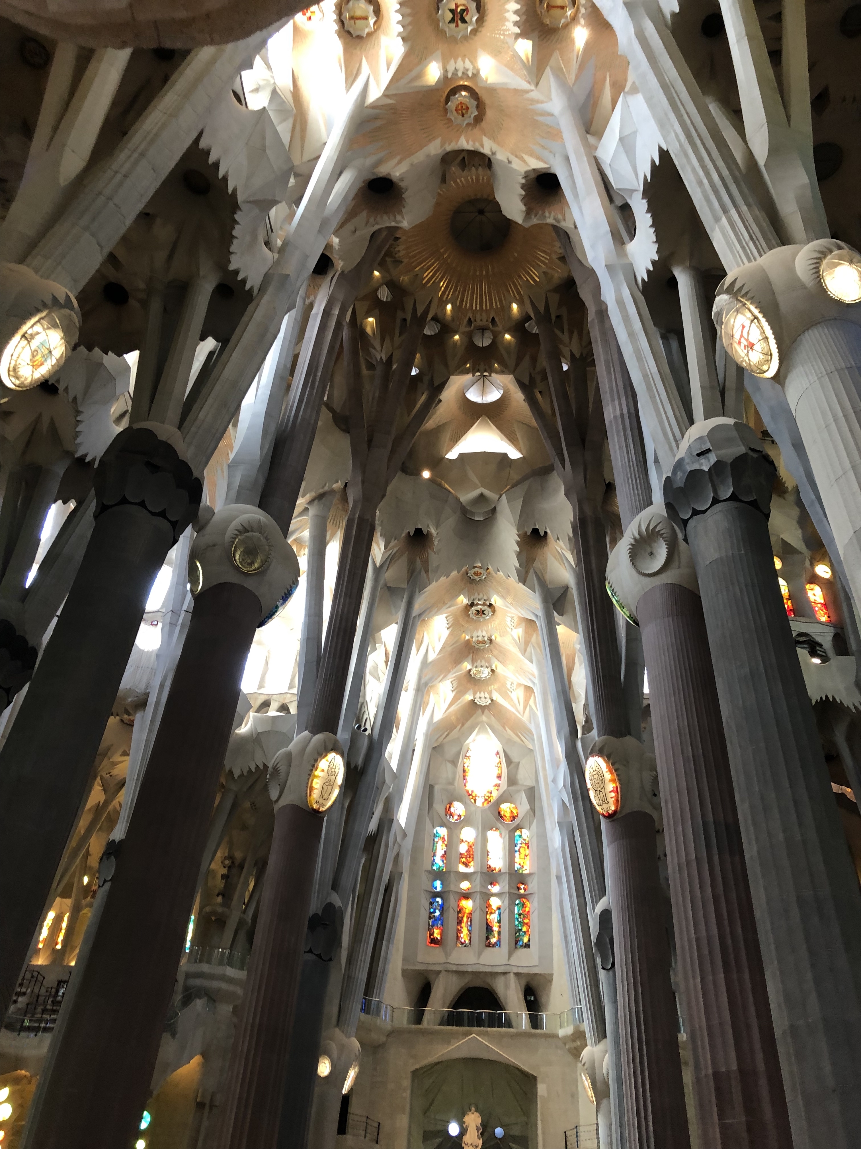 ceiling of the sagrada famlia