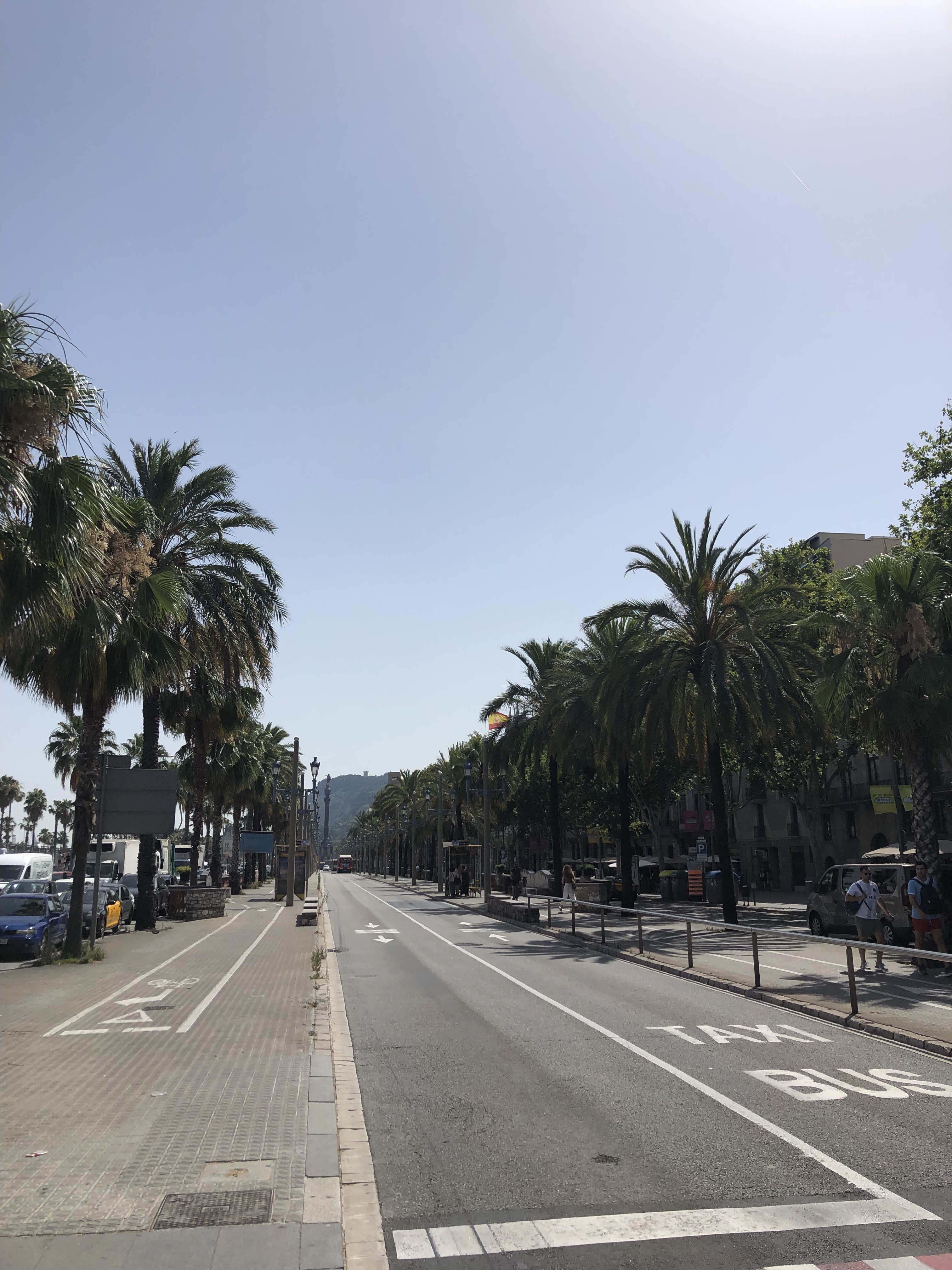 Street in Barcelona lined with palm trees