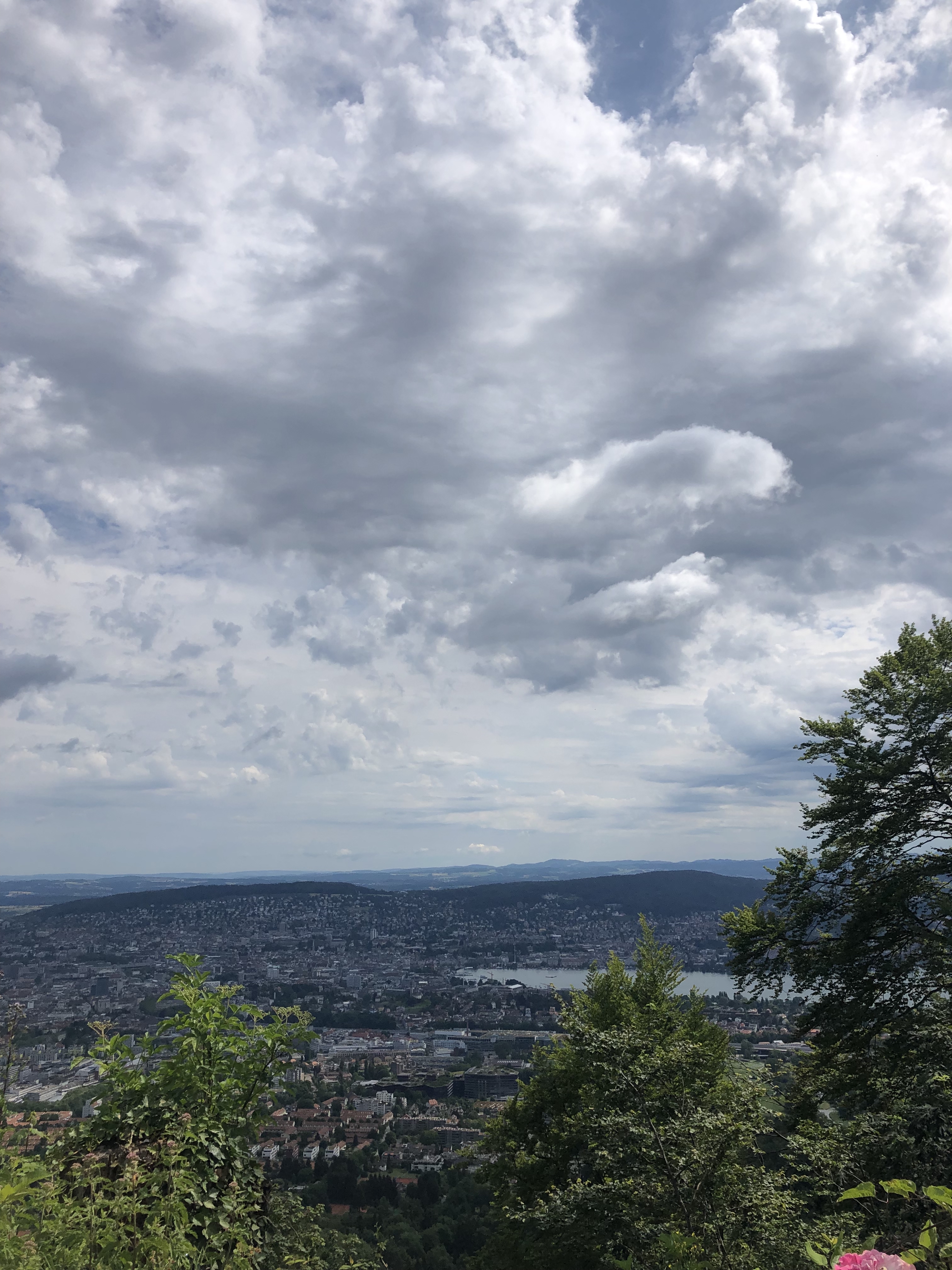 View of zurich with gray skies