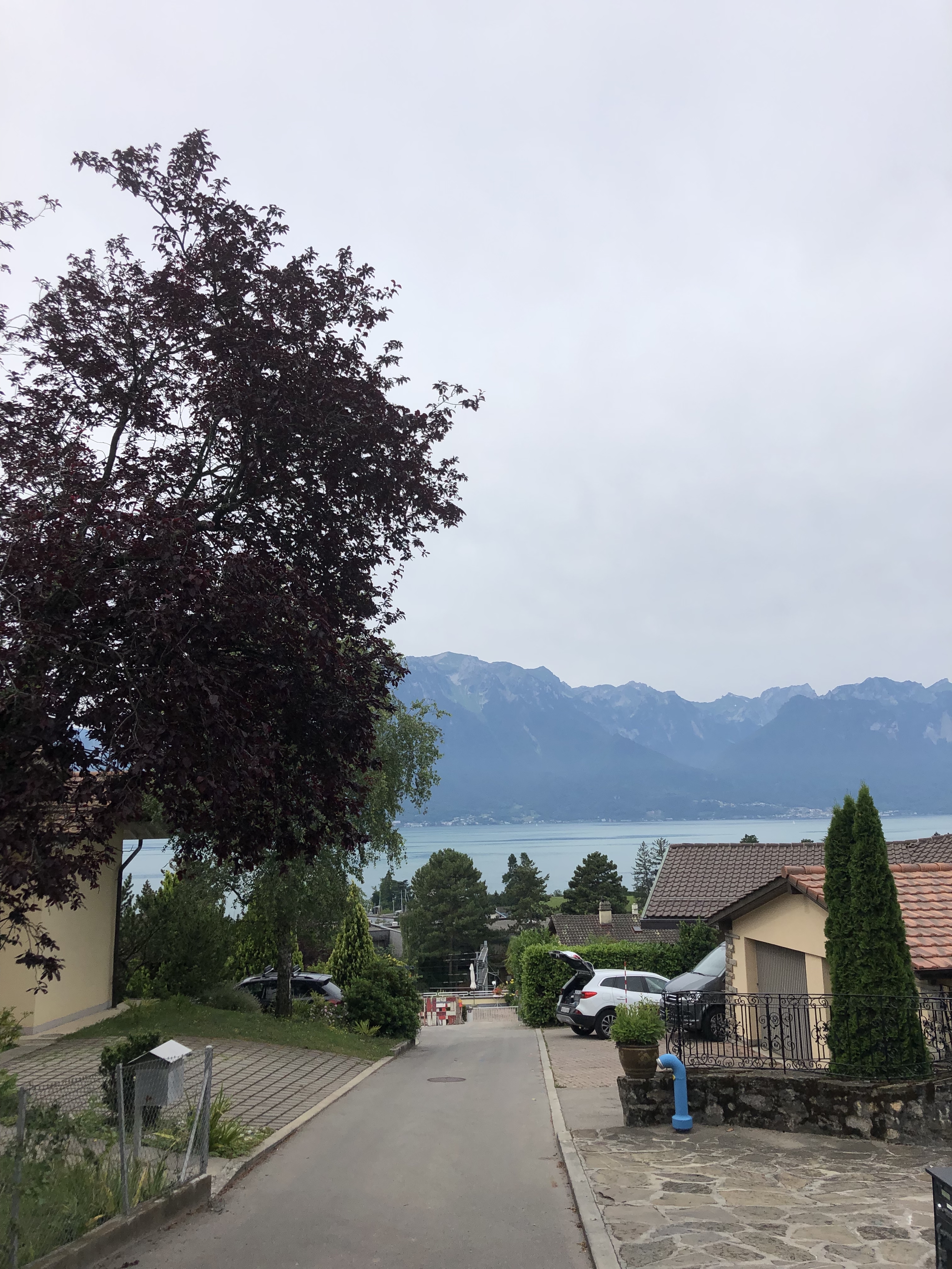 Mountains and lake geneva view