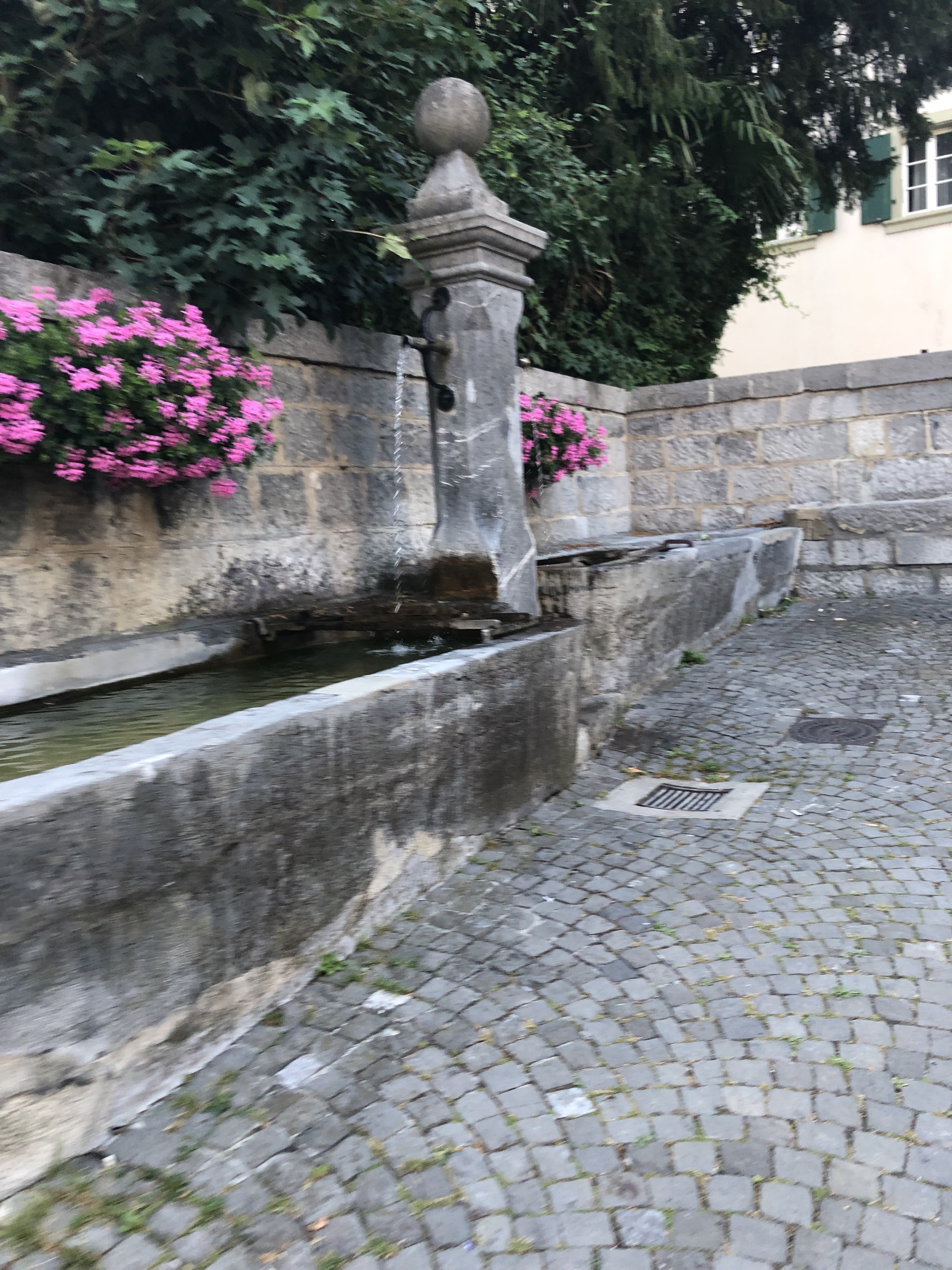 A public outdoor fountain for drinking water with two bunches of pink flowers