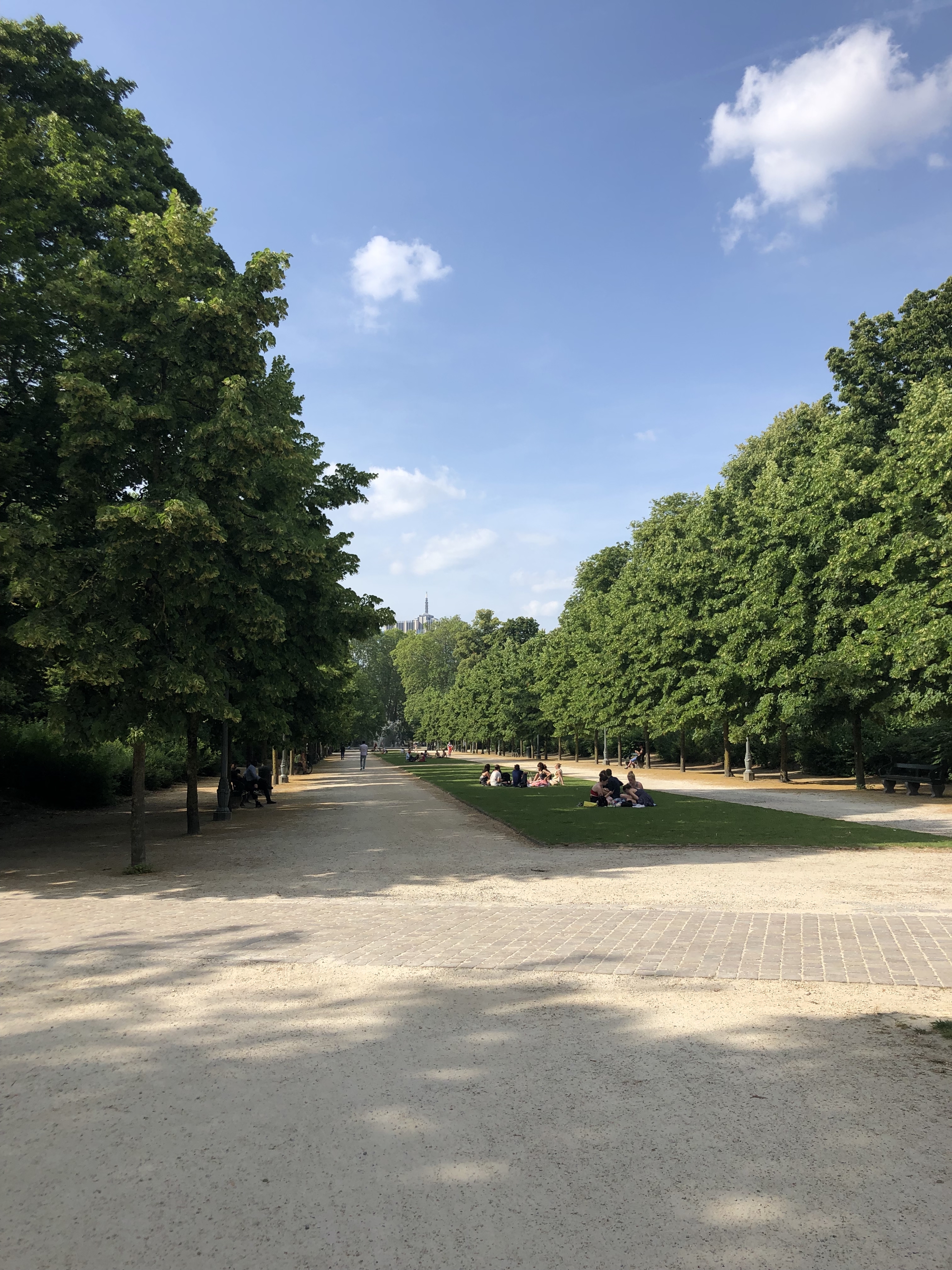 Park in Brussels with lush green trees